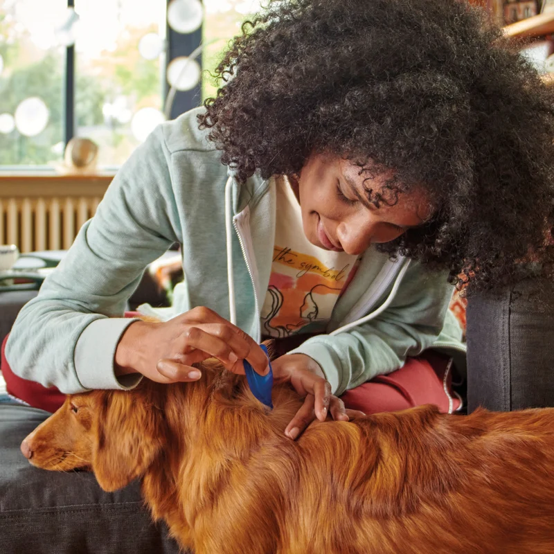 Beaphar Fiprotec Spot-On Flea & Tick Treatment for Dogs