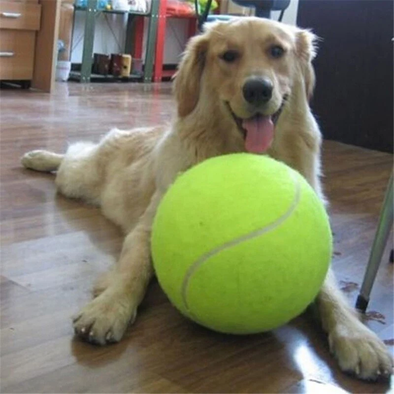 GiantPaw Power Ball