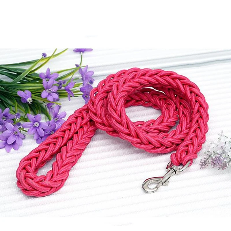 TitanTrek Dog Leash