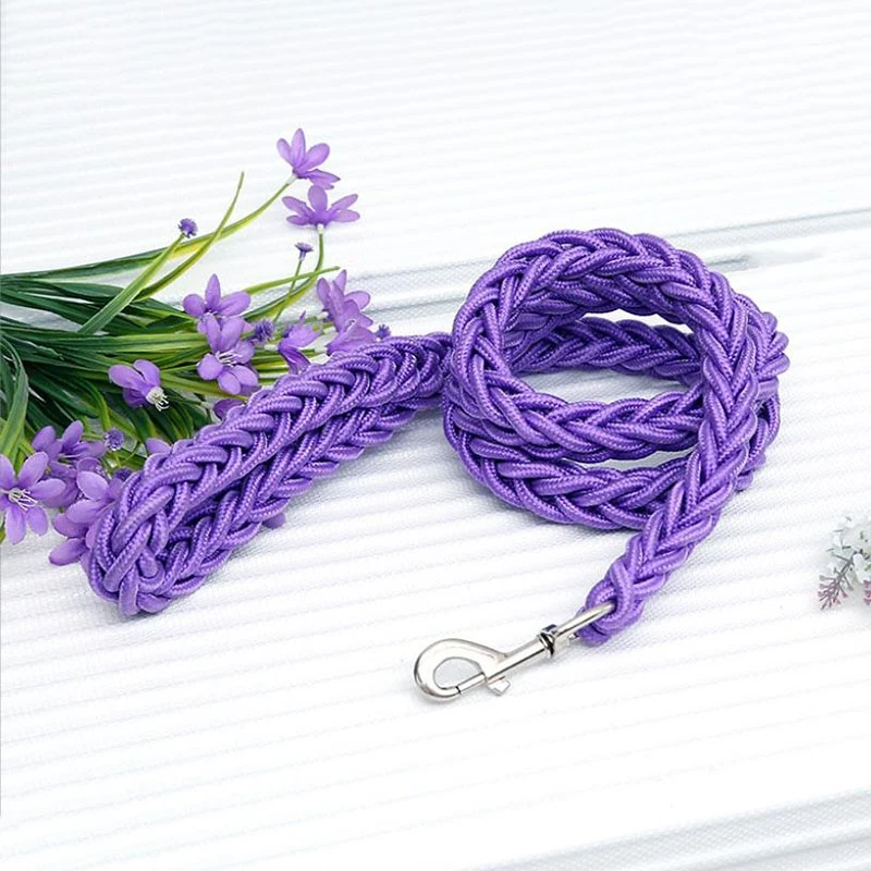 TitanTrek Dog Leash
