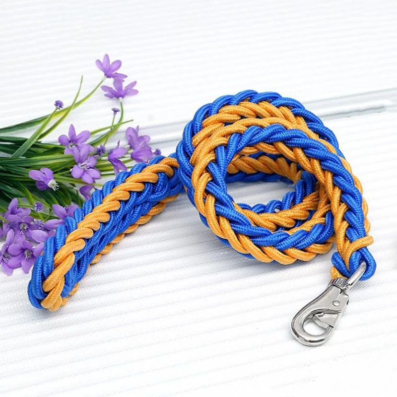 TitanTrek Dog Leash