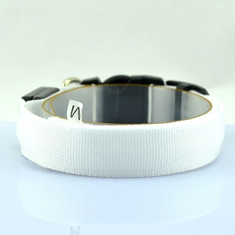 GlowBeam Pet Collar