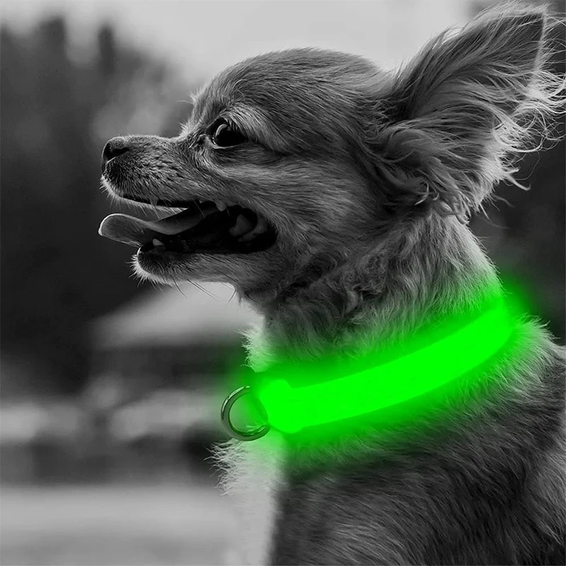 GlowBeam Pet Collar