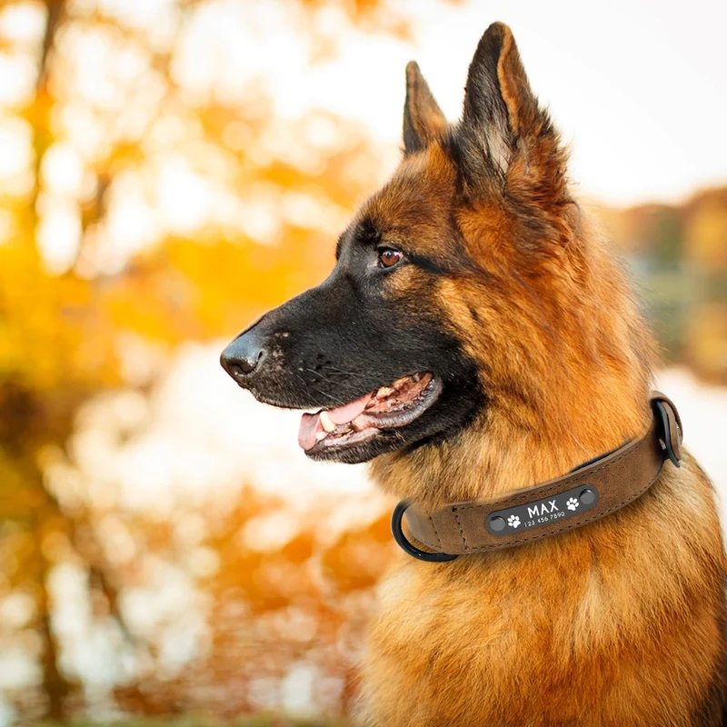 CustomCuff Pet Collar