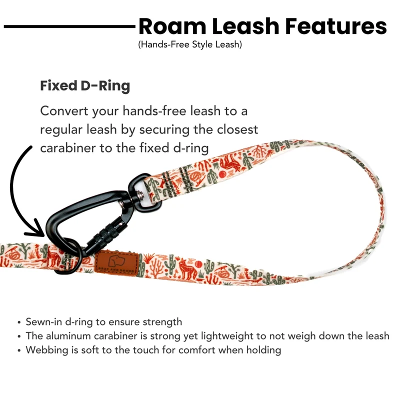 Rainbow Ridge Leash