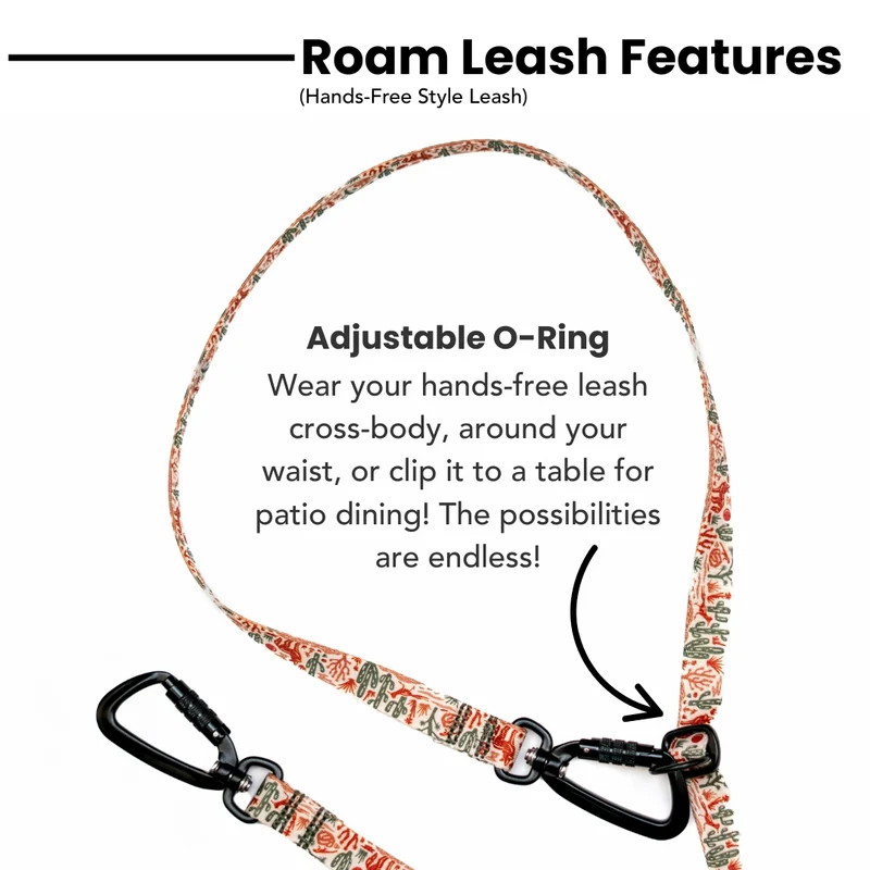 Rainbow Ridge Leash