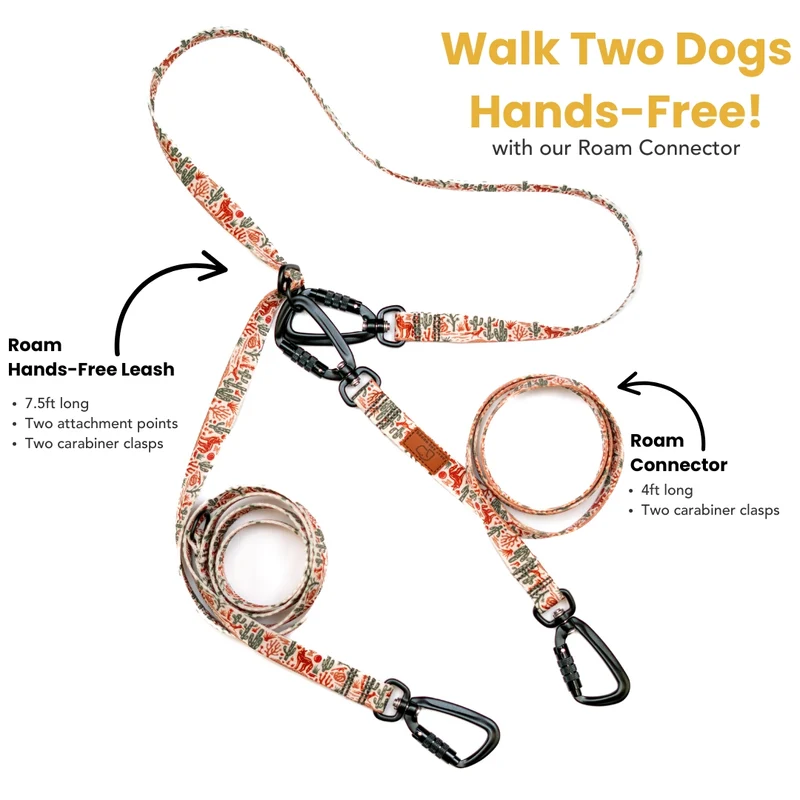 Rainbow Ridge Leash