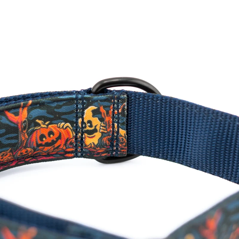 Haunted Hounds Collar