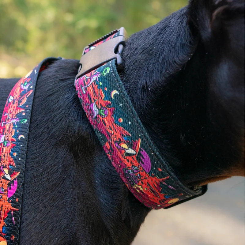 Rover Buckle-On Martingale Collar