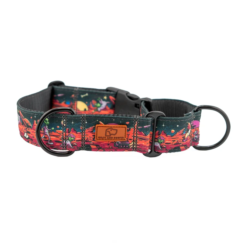 Rover Buckle-On Martingale Collar