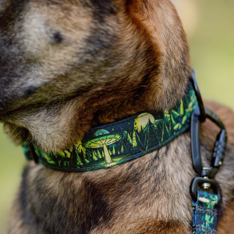 1947 Buckle-On Martingale Collar