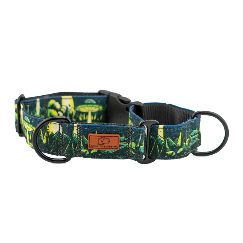 1947 Buckle-On Martingale Collar