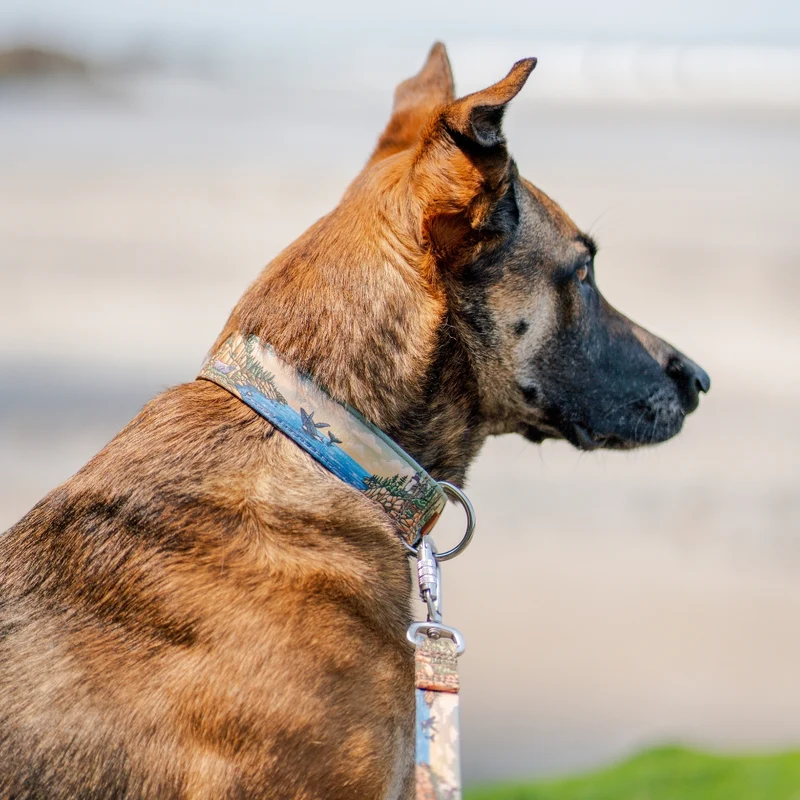 Acadia Parkside Buckle-On Martingale Collar