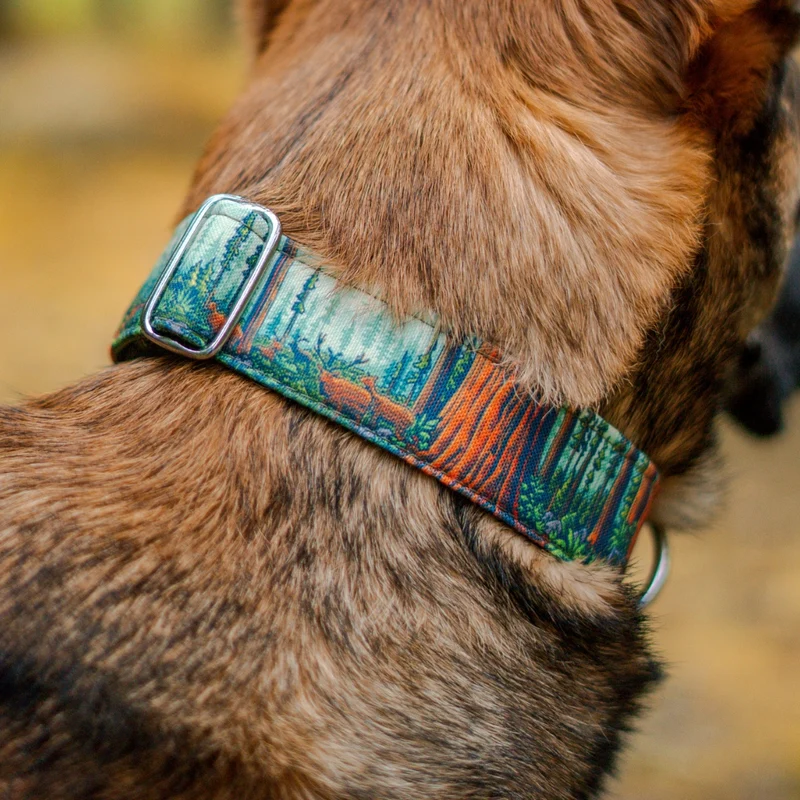 Redwood Parkside Buckle-On Martingale Collar