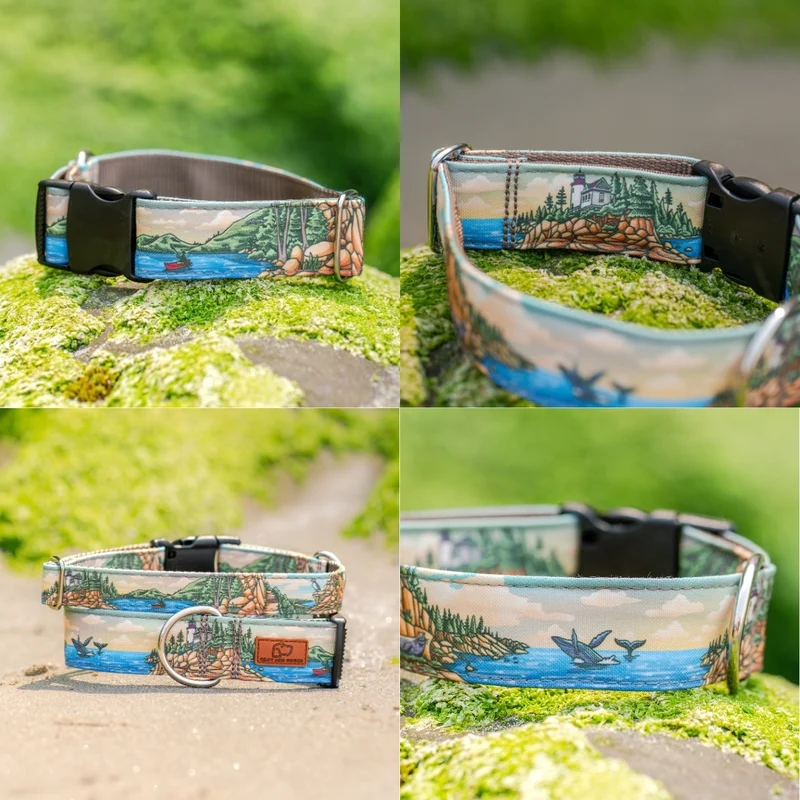 Acadia Parkside Collar