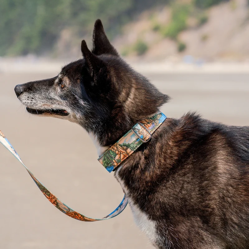 Acadia Parkside Collar
