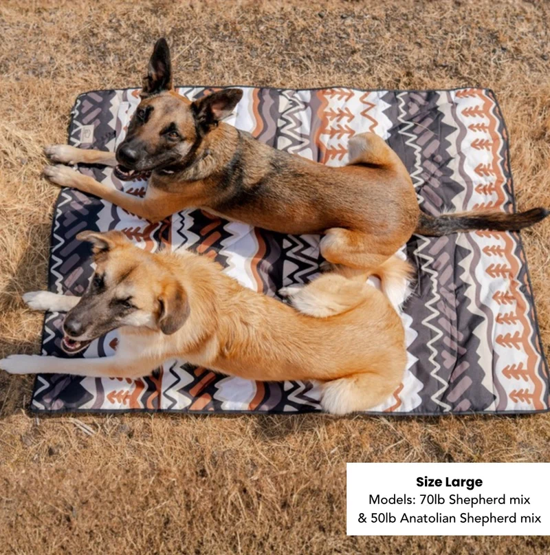 Nomad Mat in Evergreen