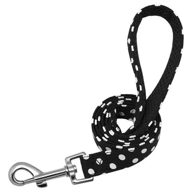 Pet Walking Dog Leash