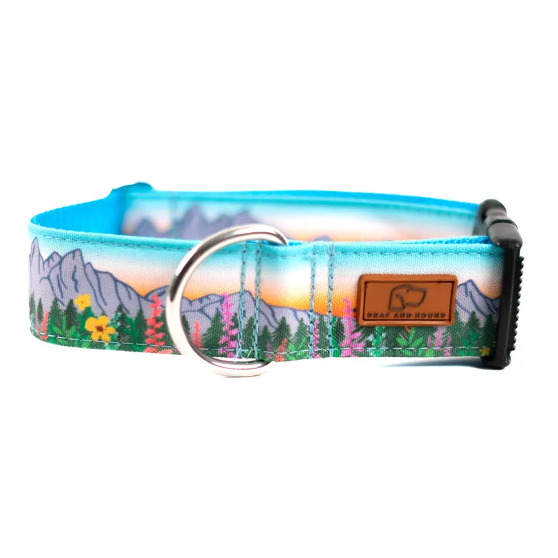 Teton Sunrise Collar
