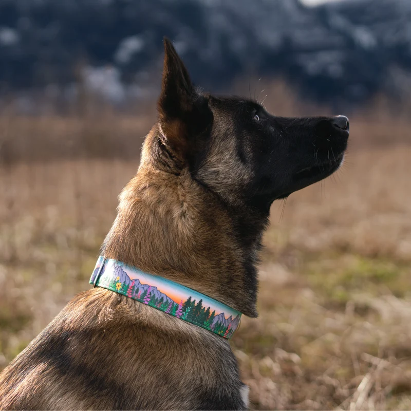 Teton Sunrise Collar