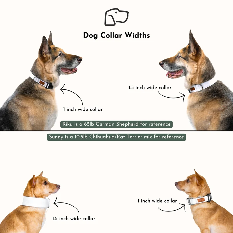Kenai River Collar