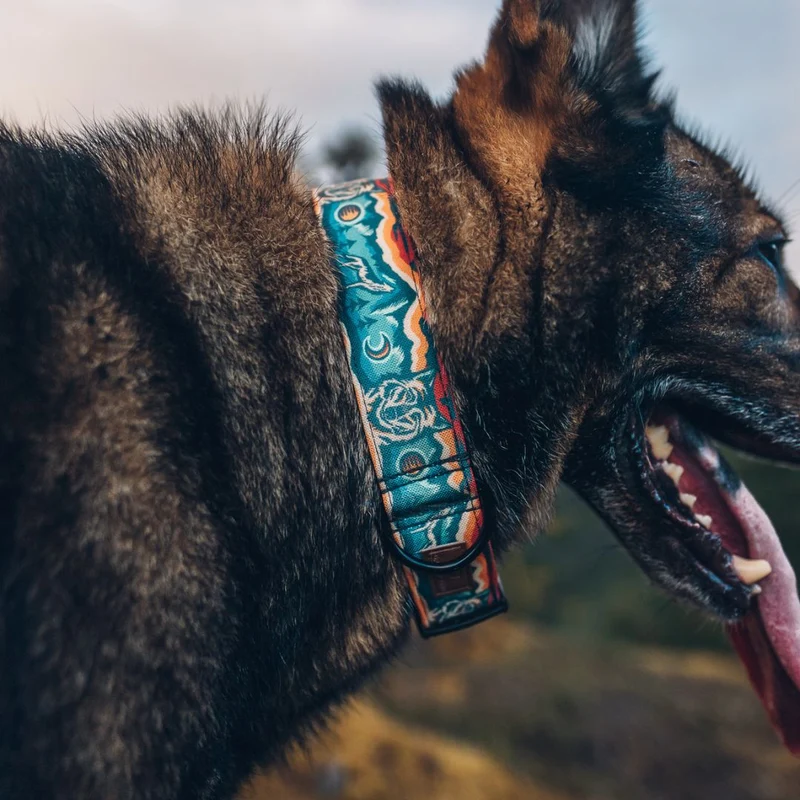 Desert Wolf Collar