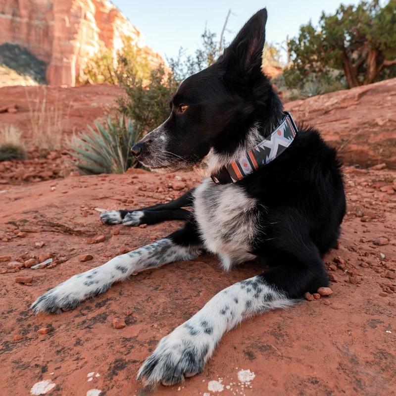 Glacier Geo Collar