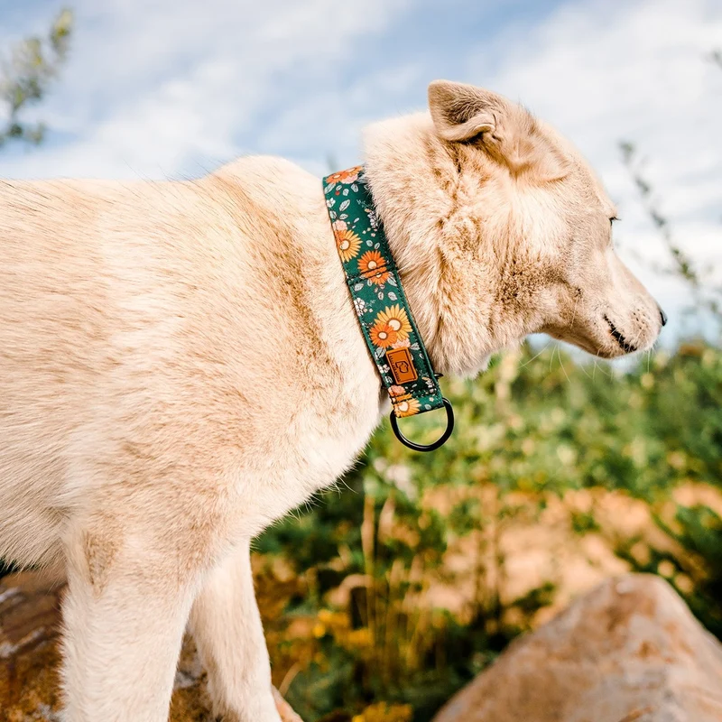 Emerald Floral Collar