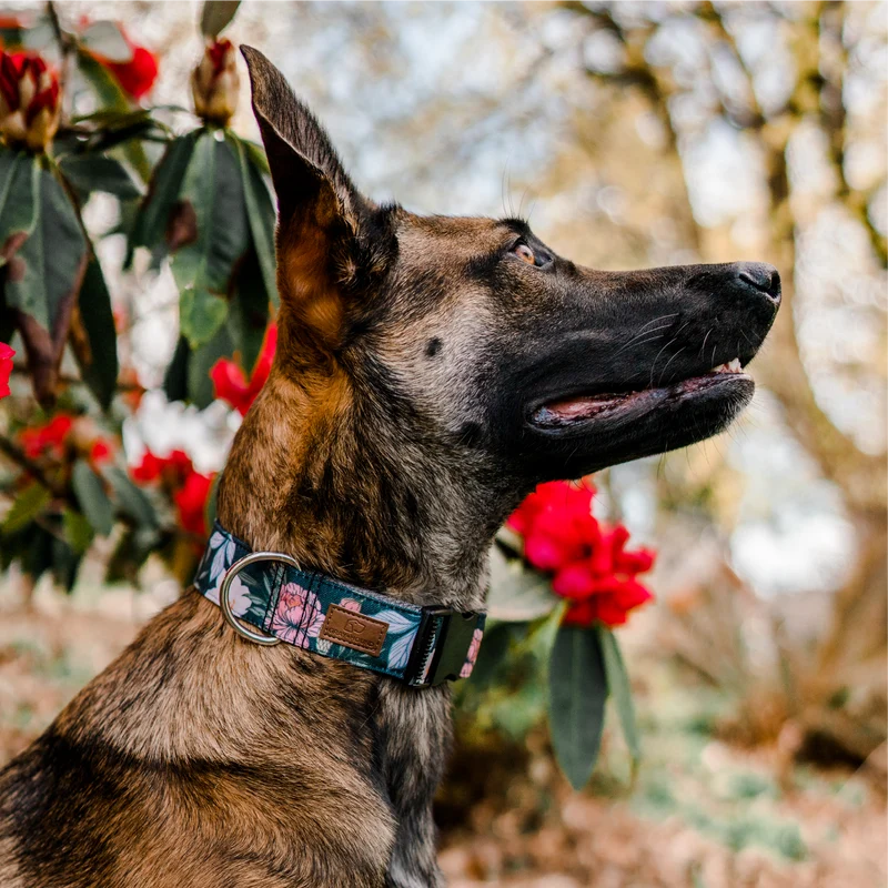 Dusk Floral Collar