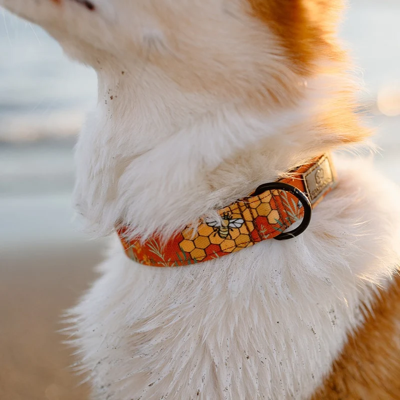Honey Bee Collar