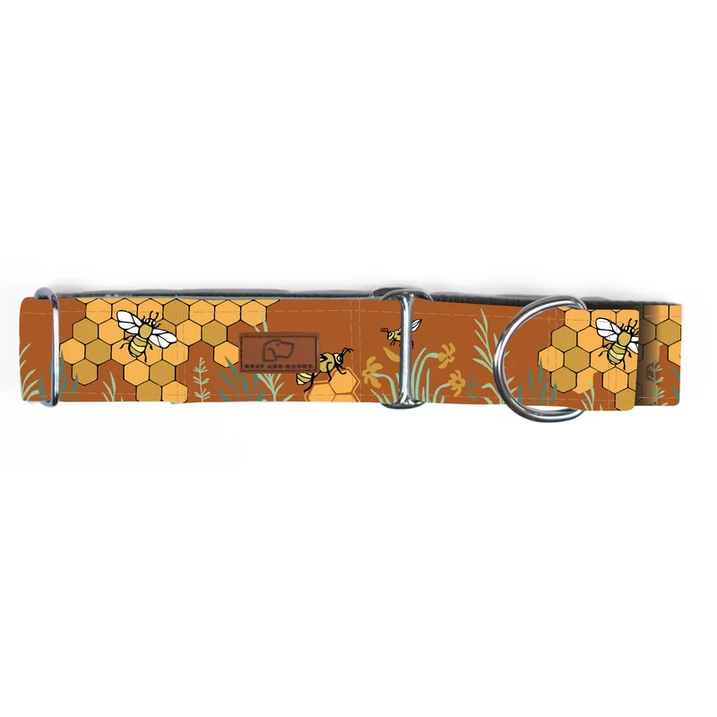 Honey Bee Collar
