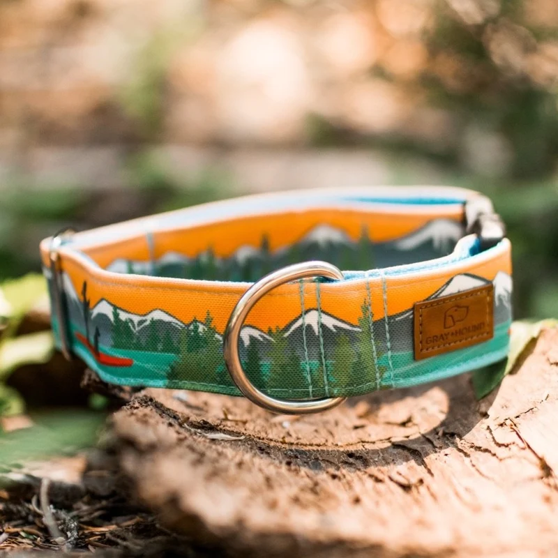 Paddle Board Collar