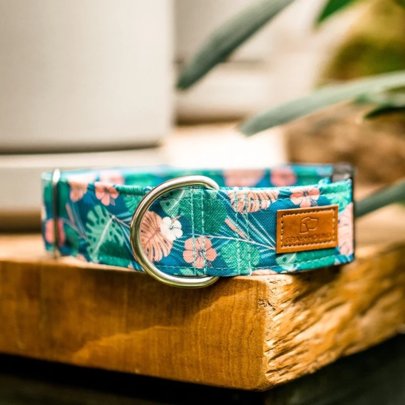 Hawaiian Monstera Collar