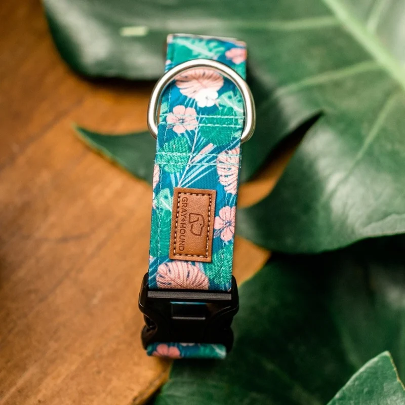 Hawaiian Monstera Collar