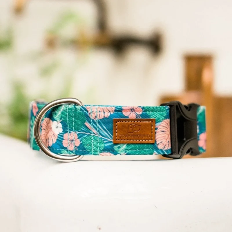 Hawaiian Monstera Collar