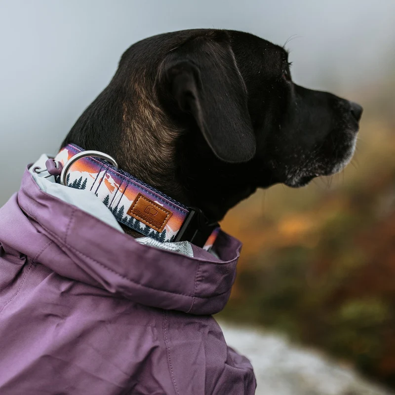 Alpenglow Mountain Collar
