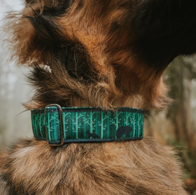 Olympia Collar