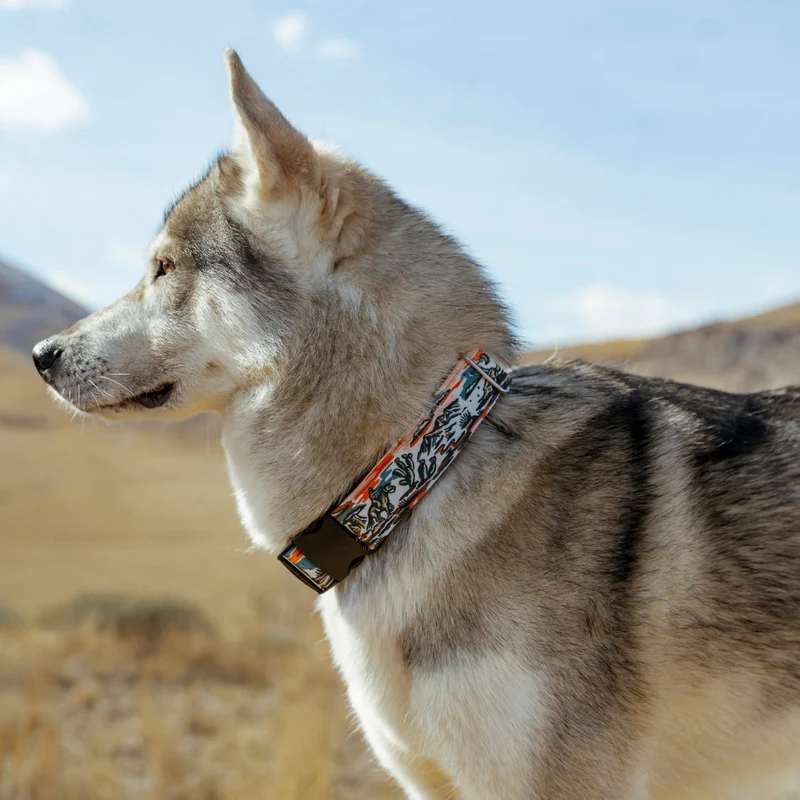 Westward Buckle-On Martingale Collar