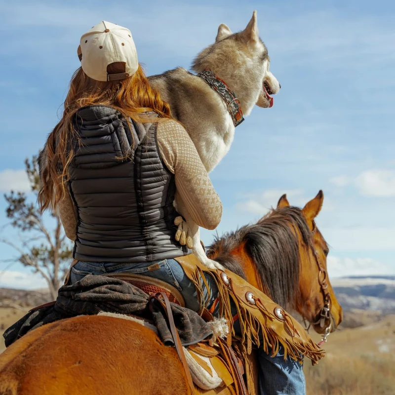 Westward Collar