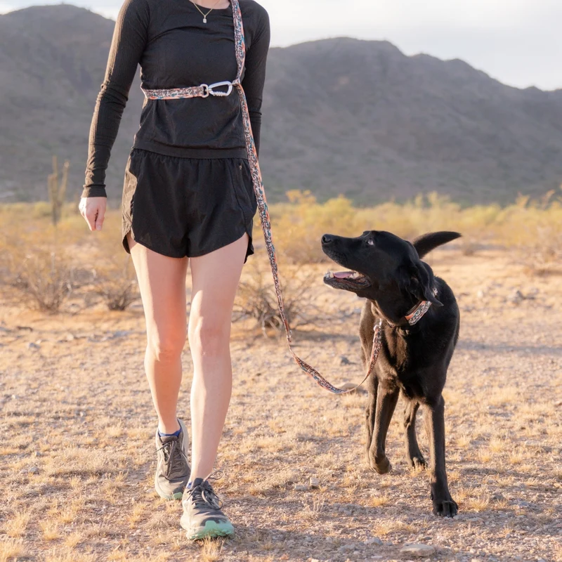 Westward Dog Leash