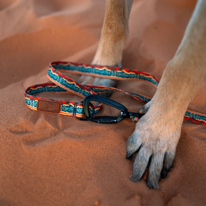 Desert Wolf Dog Leash