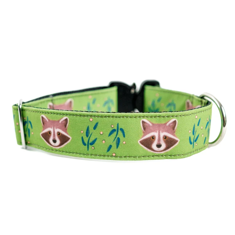 Olive Raccoon Dog Collar