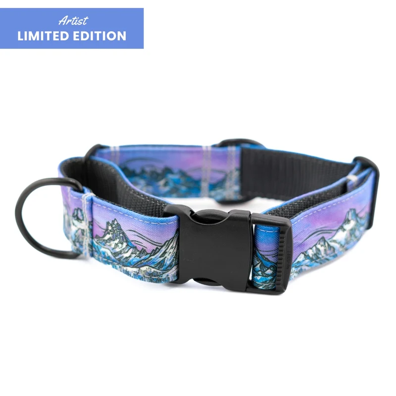 Cascades Buckle-On Martingale Dog Collar [choose color]
