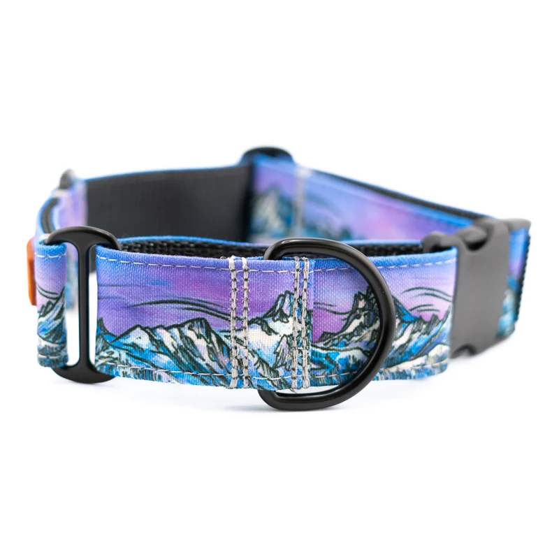 Cascades Buckle-On Martingale Dog Collar [choose color]