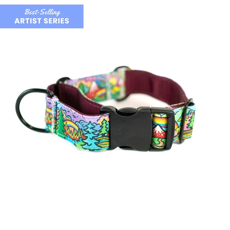Rainbow Ridge Buckle-On Martingale Dog Collar