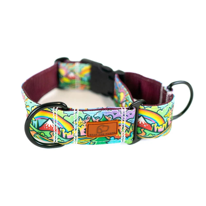 Rainbow Ridge Buckle-On Martingale Dog Collar