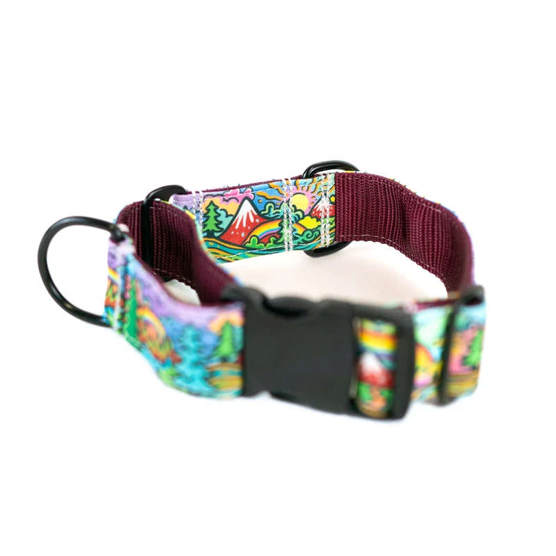 Rainbow Ridge Buckle-On Martingale Dog Collar