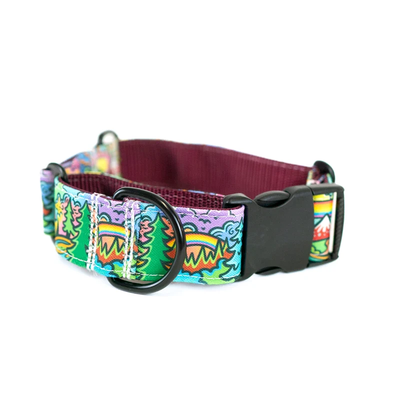 Rainbow Ridge Buckle-On Martingale Dog Collar