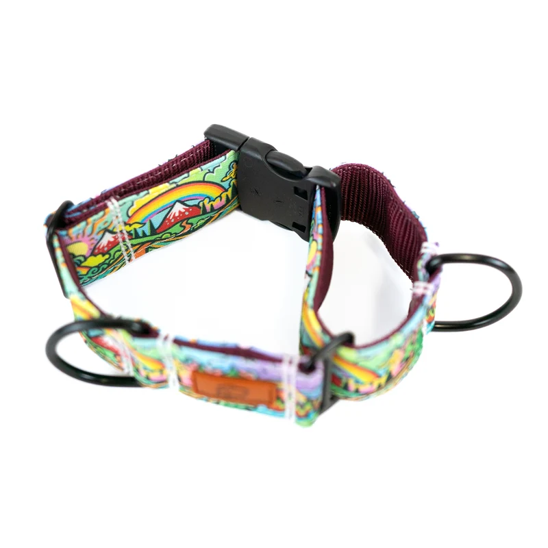 Rainbow Ridge Buckle-On Martingale Dog Collar