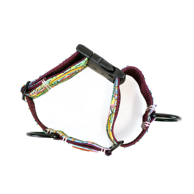 Rainbow Ridge Buckle-On Martingale Dog Collar